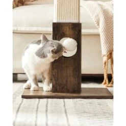 FEANDREA Katzenkratzbaum Kratzsäule 73cm 13 FEANDREA Katzenkratzbaum Kratzsäule 73cm -Katzenartikel 011120cba8789320a75b230d3b90b8814d7c764c 1483578 de DE e037a8954e76e323e540d1ec597d6182a987795ehLWNuf