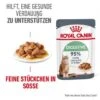 ROYAL CANIN Digest Sensitive 12 X 85 G 2 ROYAL CANIN Digest Sensitive 12 X 85 G -Katzenartikel 02cd4f8503e56273aee38cea6f577cdce78ac71b 1100873 1