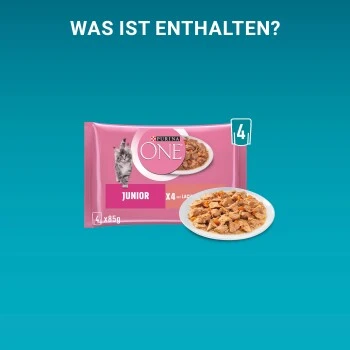 Purina ONE Junior Kittenfutter Nass Zarte Stückchen In Sauce Lachs 48x85g 11 Purina ONE Junior Kittenfutter Nass Zarte Stückchen In Sauce Lachs 48x85g – Bild 9