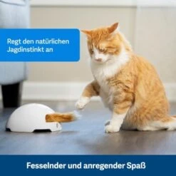 PetSafe Automatisches Katzenspielzeug Fox Den -Katzenartikel 038232be25f9015ce160251d628e0af5cabbc69f 1351524 de DE dbeb3a30744bbc866a12a3ecd4f619007abf0a14xn8Dpf