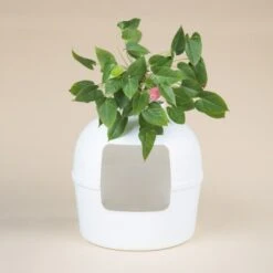 RHR Quality Katzentoilette Flower XXL -Katzenartikel 045c34da52ea42a8ca93faa0ffc4384eb81e7dd2 1641853 de DE 9141ae2b51dfaf3b5b7cf3a1ab485e45a4e63ee0Obqwe6