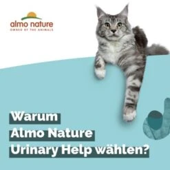Almo Nature Almo Holistic Urinary Help 30x70g Mit Fisch -Katzenartikel 060c8767b8c7969b21cac8aabe9818c799d04626 1479698 2 de