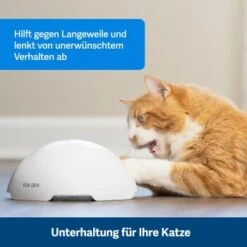 PetSafe Automatisches Katzenspielzeug Fox Den -Katzenartikel 08408a2d9006c3b10c605053b082403622980ada 1351524 de DE 8502feb5da21e0ab937dc8c82ecaeac4aebee886lllVcE