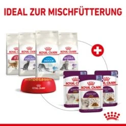 ROYAL CANIN SENSORY Feel In Gelee Für Wählerische Katzen 12x85g 12 ROYAL CANIN SENSORY Feel In Gelee Für Wählerische Katzen 12x85g -Katzenartikel 085e05a58e4fd4a1ddb03b6077fe2897070ae2d5 e9f5ff6579f0c94d835df95e78e81deecf63710b