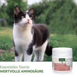 Aniforte Taurin 100g -Katzenartikel 0bea68d016a7aabae30732000f396c44a019efd7 1472617 de DE b3dae817e7a2eb80d599635916b5cd68212f13aaKMDIbR