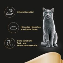 Sheba Delikatesse In Gelee 22x85g Huhn -Katzenartikel 0d48f2e0acf38e32e3c1236a212b090b82ffaf01 0cd2b7b738dcd563631f5dd17b5ef2c1564df9e9