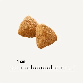 SELECT GOLD Light Adult Geflügel & Reis 2,5 Kg 7 SELECT GOLD Light Adult Geflügel & Reis 2,5 Kg – Bild 5