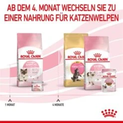 ROYAL CANIN Mother & Babycat 2 Kg -Katzenartikel 0fe8497acfc1380792b3bad8590087c6f2d67d34 3182550707329 6