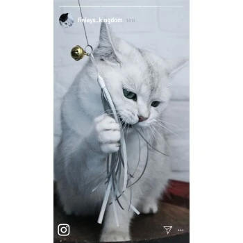 Kater Kasimir Deluxe Set Mit 9 Beliebten Katzenspielzeugen Aus Naturmaterial Und Handgemachtem CATDAD Armband 8 Kater Kasimir Deluxe Set Mit 9 Beliebten Katzenspielzeugen Aus Naturmaterial Und Handgemachtem CATDAD Armband – Bild 6