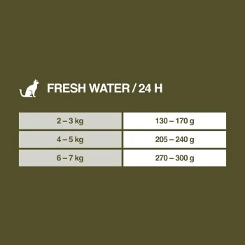 REAL NATURE WILDERNESS Adult Fresh Water Hering Mit Lachs & Ente 6x200 G 8 REAL NATURE WILDERNESS Adult Fresh Water Hering Mit Lachs & Ente 6x200 G – Bild 6
