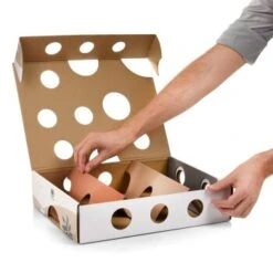 Canadian Cat Company Katzenspielzeug MagicBox -Katzenartikel 142300badb79cca7ad6d02f165f6adb72822700a 1361887 de DE 0a0d8e236e46b38b19bc65d2f7a8b14b65d84da00feNa3