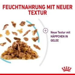 ROYAL CANIN SENSORY Feel In Gelee Für Wählerische Katzen 12x85g 15 ROYAL CANIN SENSORY Feel In Gelee Für Wählerische Katzen 12x85g -Katzenartikel 15b7f43bf7d21e68f6a5f585ba869435e3d81722 19a1526453e48e05c977a1660234eaf969ffc1a7