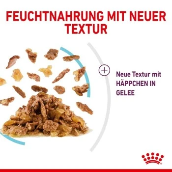 ROYAL CANIN SENSORY Feel In Gelee Für Wählerische Katzen 12x85g 8 ROYAL CANIN SENSORY Feel In Gelee Für Wählerische Katzen 12x85g – Bild 6