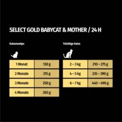SELECT GOLD Babycat & Mother Pastete Huhn 12x85 G 9 SELECT GOLD Babycat & Mother Pastete Huhn 12x85 G -Katzenartikel 16f6e0f0a8dec64092bb76bac74e7a426373a332 1367186 de DE 7