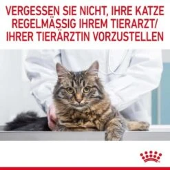 ROYAL CANIN Digest Sensitive 12 X 85 G 23 ROYAL CANIN Digest Sensitive 12 X 85 G -Katzenartikel 1a606d247985e44cae3c151ac139c68081a71775 1100873 10