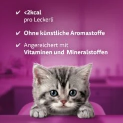 Whiskas Snacks Milch-Kätzchen 8x55g -Katzenartikel 1ba2212093ff5f5112c9f8822d1a7925e37090ed 1335585 de DE Whiskas 4