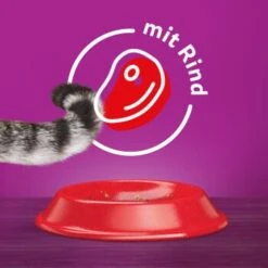 Whiskas Beutel 1+ Mit Rind 3,8kg -Katzenartikel 1d60da5b88caff631258565a34c388c461f97b47 1226411 de DE 05900951258770 C1L1 s01 v01 3 4