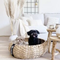 District 70 COCOON Natural M -Katzenartikel 1db584284c497361442002ba80ca8dd9597a35b9 1ad367312153dfaf420d5600b6e8e9dac5cec798