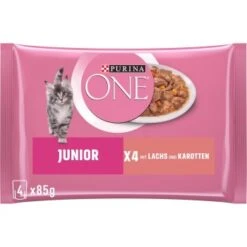 Purina ONE Junior Kittenfutter Nass Zarte Stückchen In Sauce Lachs 48x85g