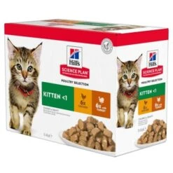 Hill's Science Plan Kitten Multipack Mit Huhn & Truthahn 12x85 G