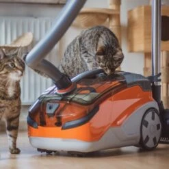 THOMAS AQUA+ Pet & Family -Katzenartikel 21e8e8518abc51c946ca914e90765288e3a69832 1408595 de DE b89bf30d7c68d7291af3123da80a610e6c34da4duk7V17