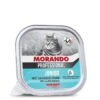 MORANDO Pastete Junior 32x100g -Katzenartikel 2276f1c97d70c031b081eda7fa74265391653e82 1473795 de DE a3ef43f68039179b685e6781f898a71001e23eb7r2Nxzi