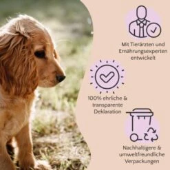 FAVLY Petfood PURE Bites Hirsch 360 G -Katzenartikel 236dbc85f5fb75ec5fb4367bde1445e3087ffdcd 1474003 de DE 80624b888460a5c29f043365a19496292e44fd84TlIvR8