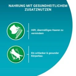 Purina ONE Indoor Formula Mit Thunfisch & Grünen Bohnen 26x85g -Katzenartikel 23cf269739f209f89c8d75b9a1db99778c797bb9 1099273 de DE purina one 4