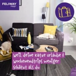 Feliway Help! 3x Nachfüllkartusche Zur Stressreduzierung -Katzenartikel 29ae770ba9b7f1bf9cec9031f7a2f9aa2f9f9bf4 1380137 6