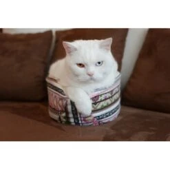 Canadian Cat Company Katzenschiff LUNA -Katzenartikel 2a794931f9263820d298c92486fc08c7b5fe3a35 1412669 de DE 46780a4b5da8fe052e5be00462eb02991658c41f2ZgeMs