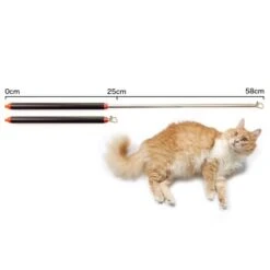 Schlitzohr Stabile Katzenangel Arnold 12 Schlitzohr Stabile Katzenangel Arnold -Katzenartikel 2b03aaa8061d454c3b132f3d29075b579f022315 1484671 de DE 4db6a969e0582cf4b987acff93cb66c6c6149da6OAB1hx