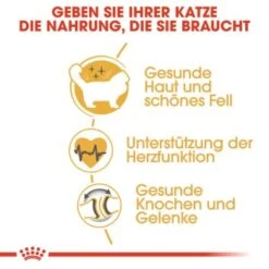 ROYAL CANIN Ragdoll Adult 10 Kg -Katzenartikel 2b7f4d002fcb25d0a160549b35fe8a36048495d4 cfc9c514c254f121c1e52d87d5f81af4ab650af9