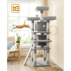 FEANDREA Katzenbaum 172cm Hellgrau Hellgrau -Katzenartikel 2beb608b0c25f31a5b591bd7b697fde4b8299f66 1483575 de DE 0ad423e802c0fbbefde959609f78ace2ca898ed9EZB5uL