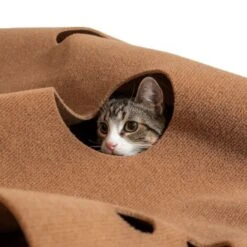 Canadian Cat Company Spielteppich Für Katzen Braun -Katzenartikel 2d410486173eb6739126d1af73ad3230c308a43d 1394213 de DE 2f11fbac0571dcc5ff170aac428c7150347b9b8ccw1yKZ