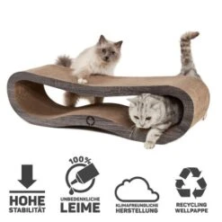 Canadian Cat Company Kratzbrett Orbit 2.0 Dunkelgrau -Katzenartikel 2d5047553575aa44a76427933901e71eb7a32b9d 1191171 de DE f96448ffa6677571b69437b0ff181630ced82af8OExiMS