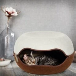 Canadian Cat Company Filz Katzennest 2.0 Weiß -Katzenartikel 2d709df44822ed1c554e77257ea4f2826b7f6ee6 1412670 de DE f4bc2f42c404e1ae32cb86346c8e995f0178b889j3OAow