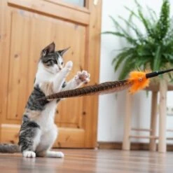 Schlitzohr Federwedel Birdy 3er Pack -Katzenartikel 2e08cedc855b4fe4d22372cc22f48cef3188be3c 1659562 de DE 4a8ba2ccf79071630769db1080a8b14fba93fcb3EKX8X8