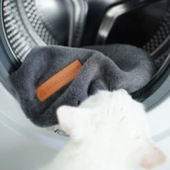 Schlitzohr Ersatzbezug Fensterbankliege -Katzenartikel 31be77f1e399f6136043e21b4738926da0a2a857 1484678 de DE ef0a822967d19fb8fa7e91c1bd57dd978a972d89UwPMnu