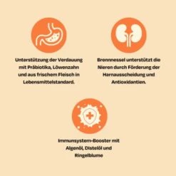 The Better Cat Nassfutter Huhn & Forelle 595 G 10 The Better Cat Nassfutter Huhn & Forelle 595 G -Katzenartikel 32f1fc2af07e22c7746f2ba88d6b6824ca8d7c5c 1664526 de DE db97ead03f5c7968bc9742921e470f14459ecbe0iP0J6z
