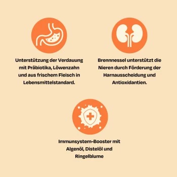 The Better Cat Nassfutter Huhn & Forelle 595 G 4 The Better Cat Nassfutter Huhn & Forelle 595 G – Bild 2