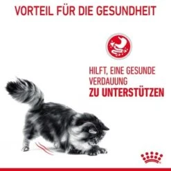 ROYAL CANIN Digestive Care 10 Kg -Katzenartikel 33836b78e4dfe5d72c6cf6742ac3f6af2f72a25c 1084985 4