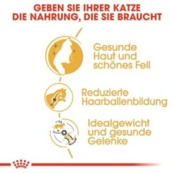 ROYAL CANIN Norwegian Forest Adult 10 Kg -Katzenartikel 35f747f3a246ac1026c8b21a4d6b84d72541816d 27437237589f91031e5751991c906b563ce7ae1f