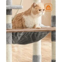 FEANDREA Kratzbaum 143cm Rauchgrau Hellgrau -Katzenartikel 37be2f2514570ac16abd583e226c37e3942fb95e 1483593 de DE a6645c1e24d592fa2f7e2898455d81c2be2800bf3QlXOx