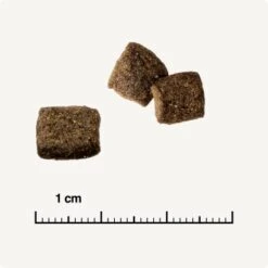 REAL NATURE WILDERNESS Adult Mixpaket Mixpaket 1, Mix-Pack -Katzenartikel 38c9fddfde6e364977836a7419845bd5679c428a 1267097 de DE 6 savannah 1173938004