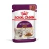 ROYAL CANIN SENSORY Taste In Soße Für Wählerische Katzen 12x85g -Katzenartikel 39a4cf15e78042400921b6de1757e46753c01bd3 1368004 de DE Rcsens