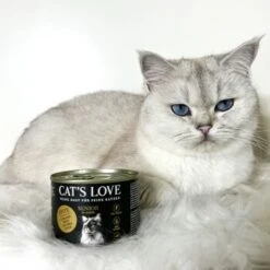 CAT'S LOVE Senior Ente 12x85g -Katzenartikel 3bcde63305db640cc31c45d66692d87deab039b4 1391449 2
