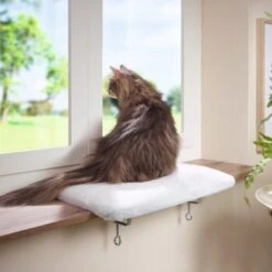 AniOne Fensterliegeplatz -Katzenartikel 3ed1f86bcd38eea7f6bb469869d0ceabbf14e73e 08d7fb7b3ea8513f40155b969787349e3e9059aa
