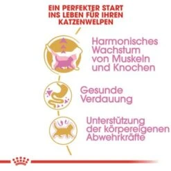 ROYAL CANIN British Shorthair Kitten 2 Kg -Katzenartikel 3feab8717345fb55fe890c564cd1933a92234494 8fcb8d730ecfafe8fb567de5d1188cbf674cf65f