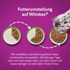 Whiskas Tasty Mix Multipack Chef's Choice In Sauce 40 X 85g -Katzenartikel 409f4c41204a67499d9e04ea40f469165fcf23ac 1410720 de DE Whiskas 4