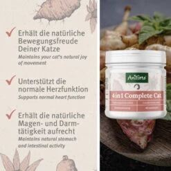 Aniforte 4in1 Complete Cat 60g -Katzenartikel 433174568e18224fd341b5ca349c776d85d96ab2 1332844 de DE 0aa93cc915c5d5bb812b052b88179a1f5f51f297zDGJEt